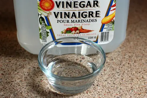 malt vinegar