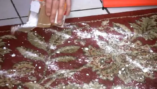 soda on carpet