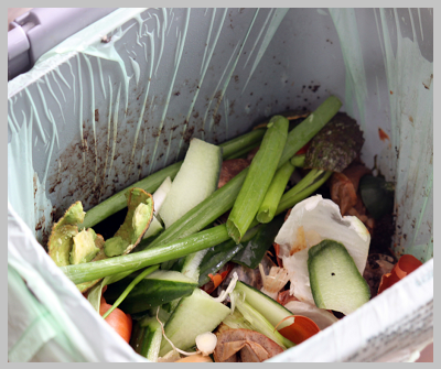 rotting food waste