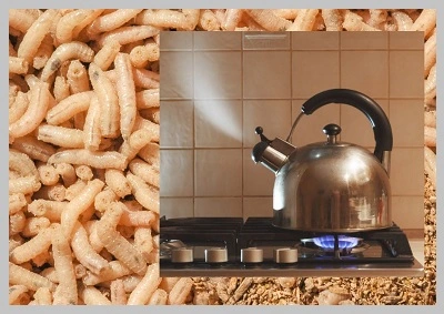 maggots and boiling kettle
